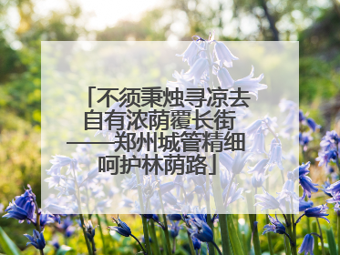 不须秉烛寻凉去 自有浓荫覆长街——郑州城管精细呵护林荫路