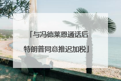 与冯德莱恩通话后 特朗普同意推迟加税