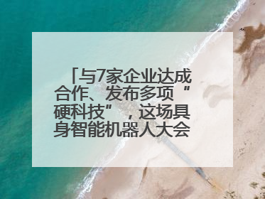 与7家企业达成合作、发布多项“硬科技”，这场具身智能机器人大会蓉城启幕