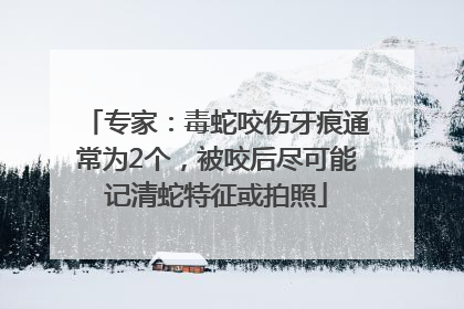 专家：毒蛇咬伤牙痕通常为2个，被咬后尽可能记清蛇特征或拍照