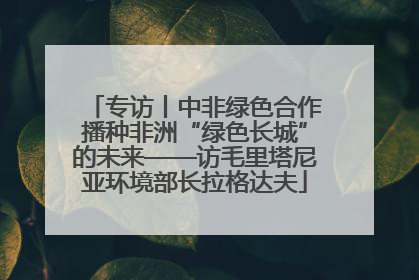 专访丨中非绿色合作播种非洲“绿色长城”的未来——访毛里塔尼亚环境部长拉格达夫