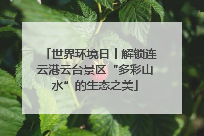世界环境日丨解锁连云港云台景区“多彩山水”的生态之美