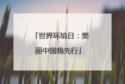 世界环境日：美丽中国我先行