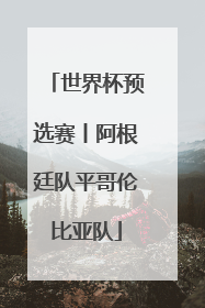 世界杯预选赛丨阿根廷队平哥伦比亚队