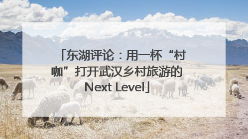 东湖评论：用一杯“村咖”打开武汉乡村旅游的Next Level