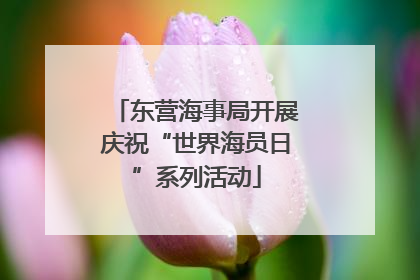 东营海事局开展庆祝“世界海员日”系列活动