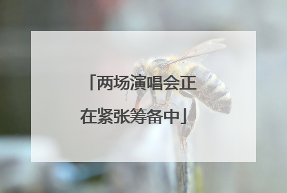 两场演唱会正在紧张筹备中