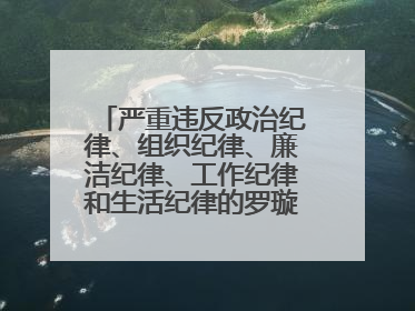 严重违反政治纪律、组织纪律、廉洁纪律、工作纪律和生活纪律的罗璇，非法收受他人巨额财物