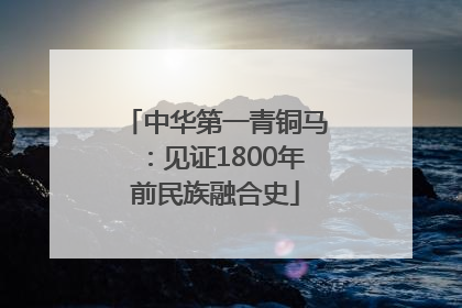 中华第一青铜马：见证1800年前民族融合史
