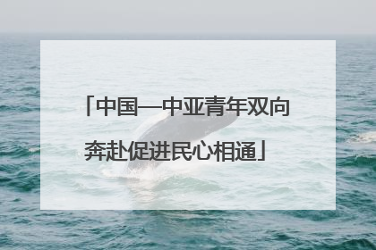 中国—中亚青年双向奔赴促进民心相通