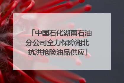 中国石化湖南石油分公司全力保障湘北抗洪抢险油品供应