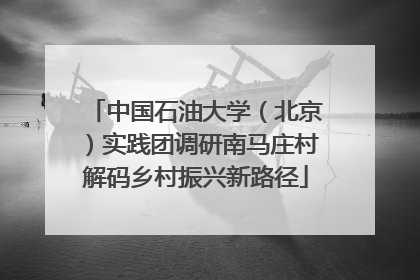中国石油大学（北京）实践团调研南马庄村解码乡村振兴新路径