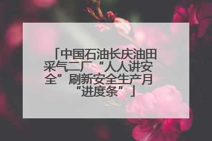 中国石油长庆油田采气二厂“人人讲安全”刷新安全生产月“进度条”