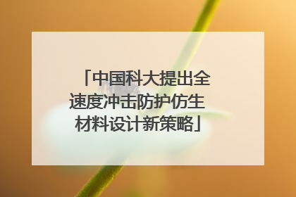 中国科大提出全速度冲击防护仿生材料设计新策略