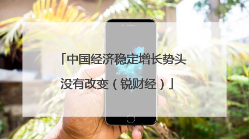 中国经济稳定增长势头没有改变（锐财经）
