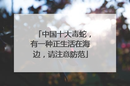 中国十大毒蛇，有一种正生活在海边，请注意防范