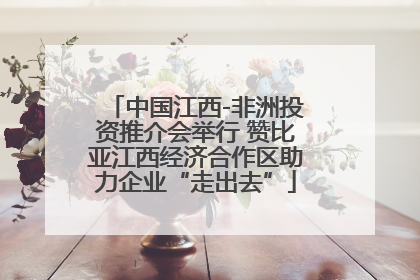 中国江西-非洲投资推介会举行 赞比亚江西经济合作区助力企业“走出去”