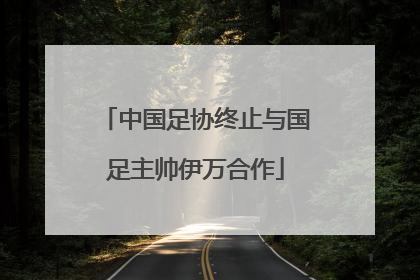 中国足协终止与国足主帅伊万合作
