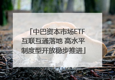 中巴资本市场ETF互联互通落地 高水平制度型开放稳步推进