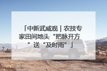 中新武威观｜农技专家田间地头“把脉开方”送“及时雨”