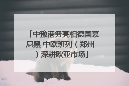 中豫港务亮相德国慕尼黑 中欧班列（郑州）深耕欧亚市场
