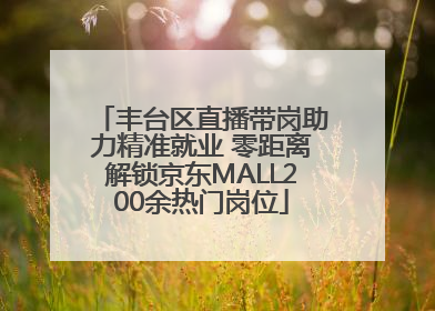 丰台区直播带岗助力精准就业 零距离解锁京东MALL200余热门岗位