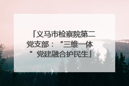 义马市检察院第二党支部：“三维一体”党建融合护民生