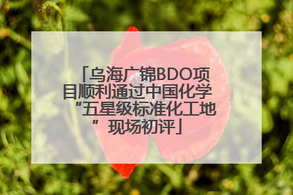乌海广锦BDO项目顺利通过中国化学“五星级标准化工地”现场初评