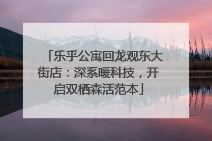 乐乎公寓回龙观东大街店：深系暖科技，开启双栖森活范本