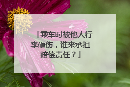 乘车时被他人行李砸伤，谁来承担赔偿责任？