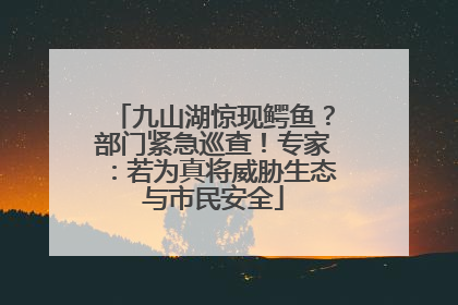 九山湖惊现鳄鱼？部门紧急巡查！专家：若为真将威胁生态与市民安全