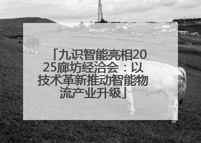 九识智能亮相2025廊坊经洽会：以技术革新推动智能物流产业升级