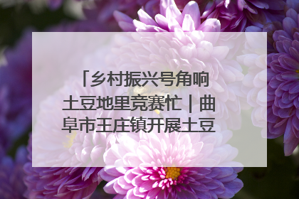 乡村振兴号角响 土豆地里竞赛忙｜曲阜市王庄镇开展土豆收获劳动竞赛