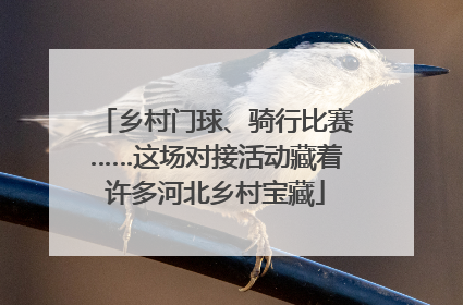 乡村门球、骑行比赛……这场对接活动藏着许多河北乡村宝藏