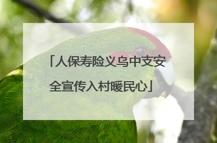 人保寿险义乌中支安全宣传入村暖民心