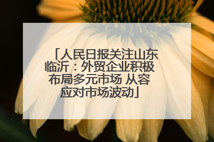 人民日报关注山东临沂：外贸企业积极布局多元市场 从容应对市场波动