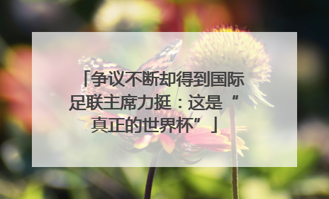 争议不断却得到国际足联主席力挺：这是“真正的世界杯”