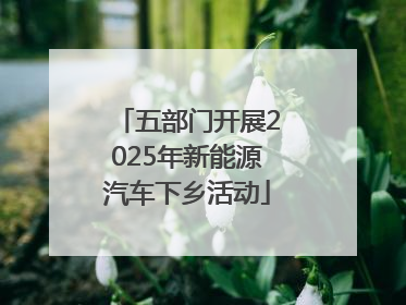 五部门开展2025年新能源汽车下乡活动