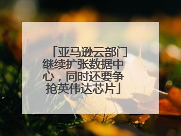 亚马逊云部门继续扩张数据中心，同时还要争抢英伟达芯片
