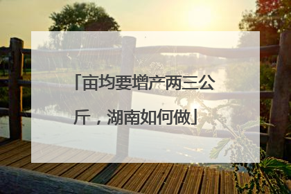 亩均要增产两三公斤，湖南如何做