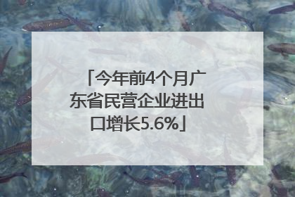 今年前4个月广东省民营企业进出口增长5.6%