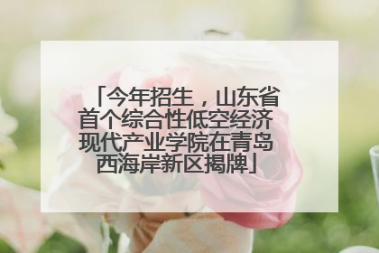 今年招生，山东省首个综合性低空经济现代产业学院在青岛西海岸新区揭牌