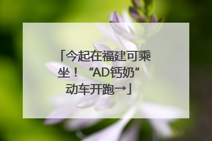 今起在福建可乘坐！“AD钙奶”动车开跑→