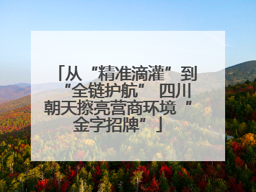 从“精准滴灌”到“全链护航” 四川朝天擦亮营商环境“金字招牌”