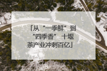 从“一季鲜”到“四季香” 十堰茶产业冲刺百亿