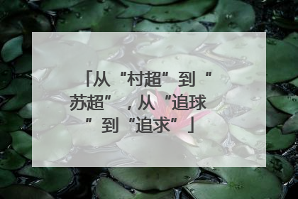 从“村超”到“苏超”，从“追球”到“追求”