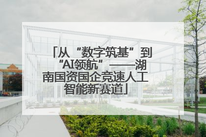 从“数字筑基”到“AI领航”——湖南国资国企竞速人工智能新赛道