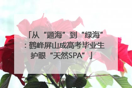 从“题海”到“绿海”：鹤峰屏山成高考毕业生护眼“天然SPA”