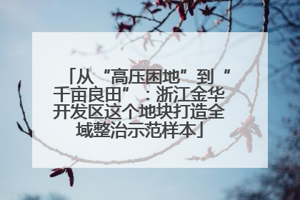 从“高压困地”到“千亩良田”：浙江金华开发区这个地块打造全域整治示范样本