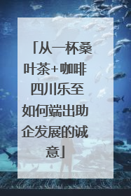 从一杯桑叶茶+咖啡 四川乐至如何端出助企发展的诚意